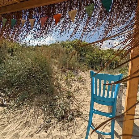 каравана The Jungle キャンプ場 *